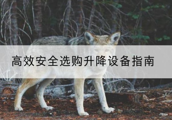 三水升降货梯厂家推荐-*安全选购升降设备指南