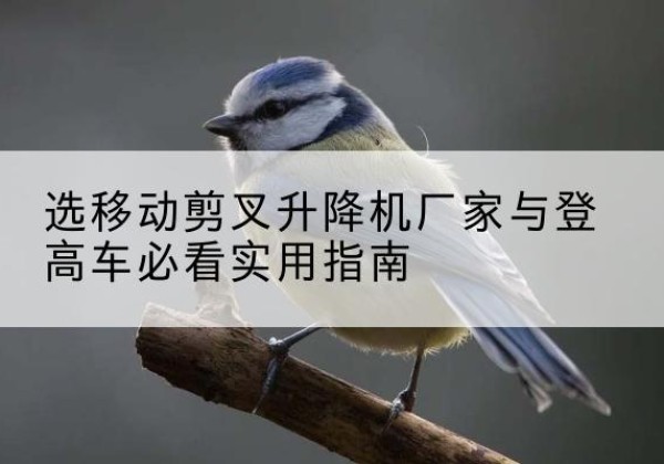 三水电动升降机厂家-选移动剪叉升降机厂家与登高车必看实用指南