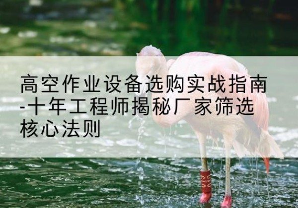 三水剪叉式升降机厂家-高空作业设备选购实战指南-十年工程师揭秘厂家筛选核心法则